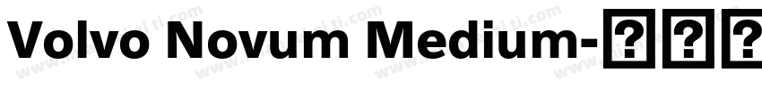 Volvo Novum Medium字体转换